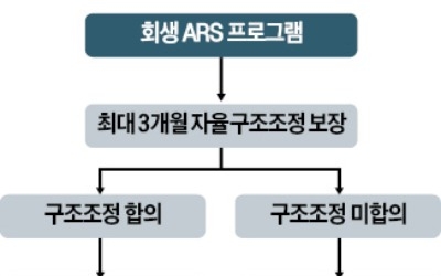 회생절차 신청기업에 3개월 자율구조조정 기회 준다