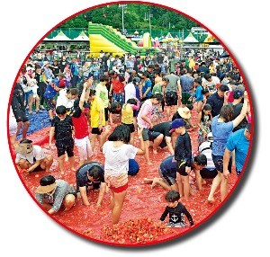 둔내고랭지토마토축제 