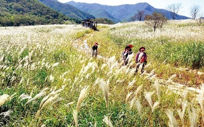 낮엔 힐링 산행, 밤엔 반딧불이 군무… 생태관광지서 '인생 쉼표' 찍자