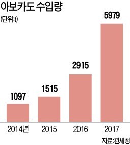 보기도 좋은게 맛도 좋아!… 샌드위치·커피까지 아보카도 전성시대