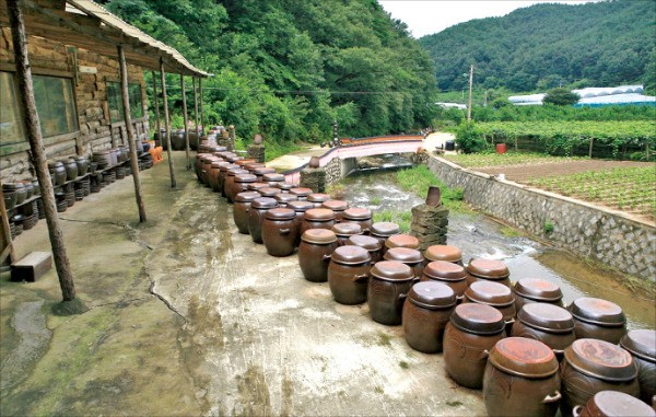 달콤한 포도 먹고, 계곡서 올갱이 줍고… 옹기도 직접 만들어볼까