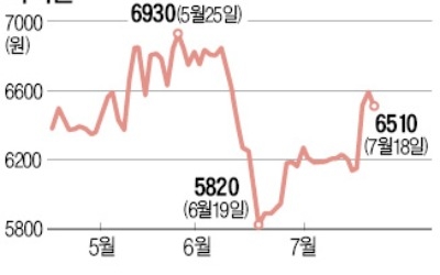 [마켓인사이트] 주가 방어 나선 자이글 대표