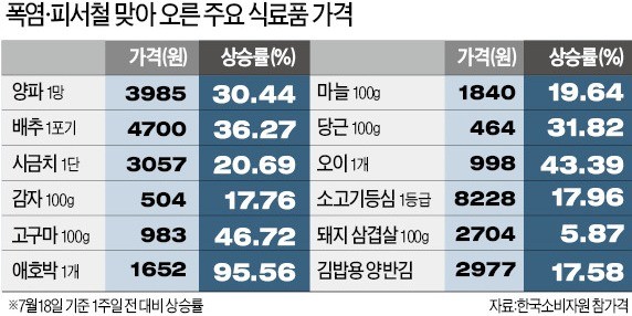 삼겹살·양파·배추·당근… 폭염에 줄줄이 '金값'