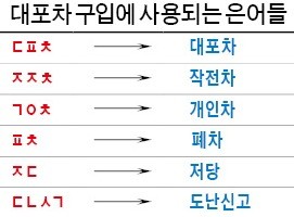 '도로 위 흉기' 외국인 불법체류자 대포차… 무면허에 뺑소니 다반사