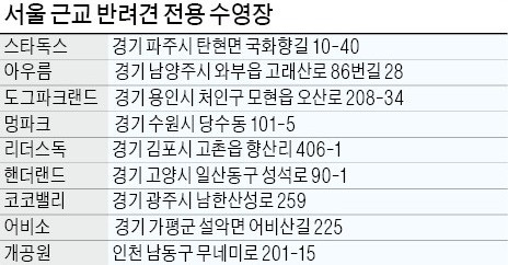 주인님과 바캉스… '개' 신나요