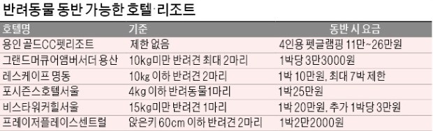 주인님과 바캉스… '개' 신나요