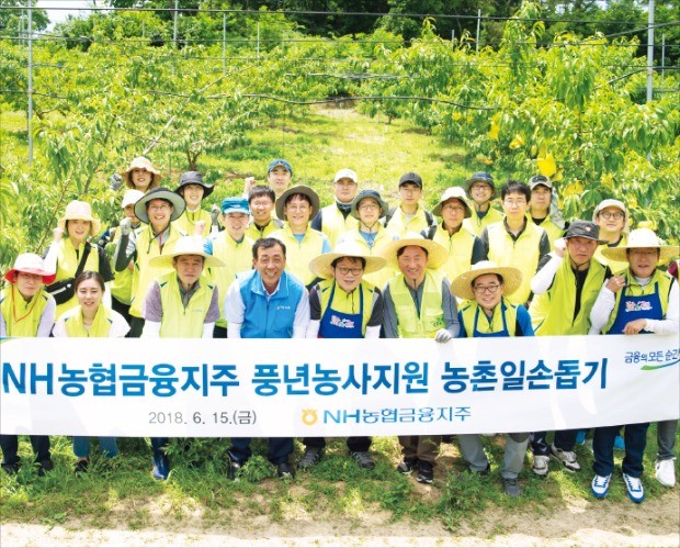 김광수 농협금융 회장(앞줄 왼쪽 다섯 번째)이 직원들과 함께 지난달 경기 여주의 한 농가를 방문해 일손돕기 봉사활동을 한 뒤 활짝 웃고 있다. 농협금융 제공