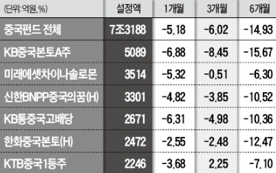 "바닥 다진 中 펀드… 싸게 담을 기회 왔다"