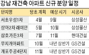 강남 '로또 청약' 줄줄이 내년으로 연기