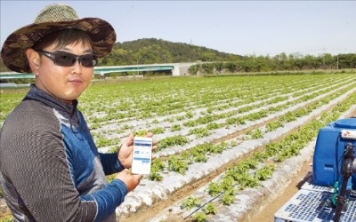 1000개 벤처 육성해도 인수는 '0'… '제2 김기사' 왜 못나올까