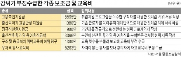 허술한 서류검사에 '구멍 뚫린' 정부보조금