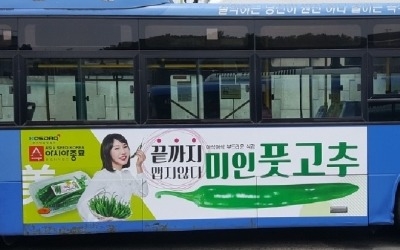 '미인풋고추'가 서울 시내버스 타게 된 사연