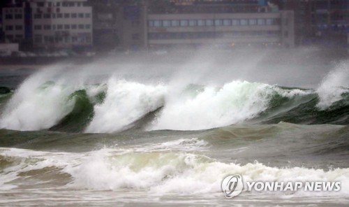 태풍 쁘라삐룬에 농작물 8500㏊ 침수… 전북·벼 피해 커