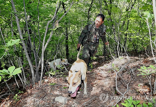 멧돼지·고라니 떼 습격 속수무책…농작물 피해 눈덩이