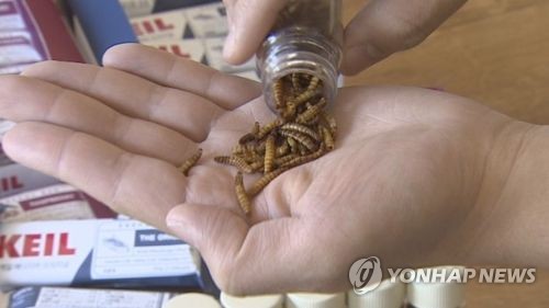 이제 곤충도 먹는 시대… 민·관 모여 표준화 논의