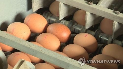 쌀 가격 강세에 공매 검토… 계란은 평년 가격 '반 토막'