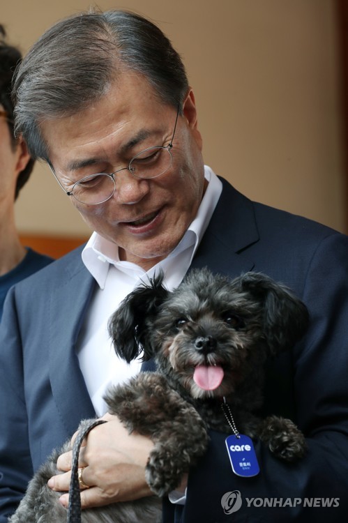 문대통령 반려견, 개식용 반대행사 등장… "딸 다혜씨가 데려가"