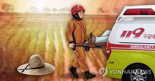 충북 폭염 피해 확산… 가축 4만마리 폐사·온열환자 30명