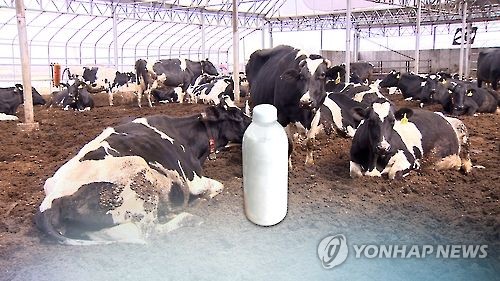 내달부터 우윳값 최소 50원 오른다…식품 '인상 도미노' 우려