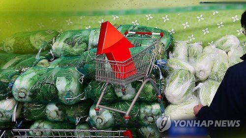 찜통더위에 배추·무 등 채소 줄줄이 올랐다