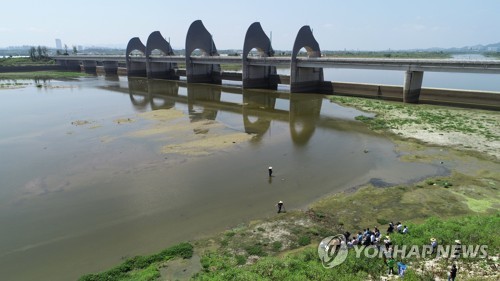 '4대강 보 구조물 남겨둬도 괜찮나'… 환경단체 현장조사