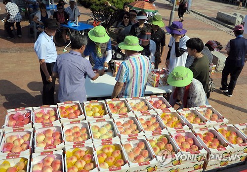 "이 더위에 어딜 가"… 가마솥 폭염 전국 농촌축제 '된서리'