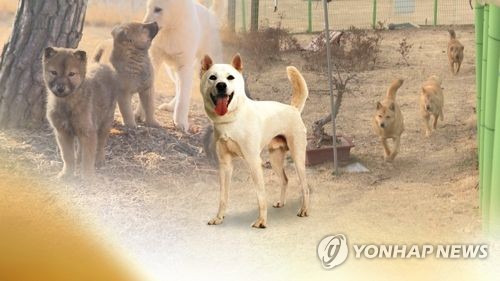 휴가철 빈집 큰불 예방한 '멍멍'소리…견공 화재알림 잇따라