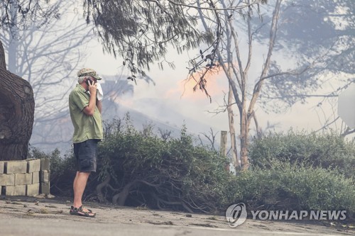 신음하는 지구촌… 곳곳서 관광지 문닫고 가축 살처분도 잇따라