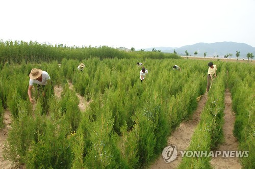 VOA "김일성대 산림과학대 교수들, 캐나다 대학서 연수"