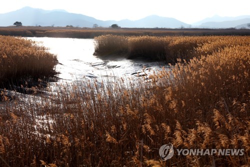 순천시·금강산, 나란히 유네스코 생물권보전지역 지정