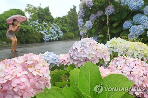 태풍 '종다리' 간접영향…제주해상 30일 풍랑 예비특보