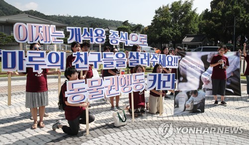 개고기 섭취 경험자 74%, 주변 권유로 먹어… "권하지 마세요"