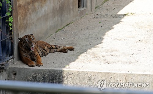 오늘도 전국이 '펄펄'… 제주 37.4도·서울 33.8도