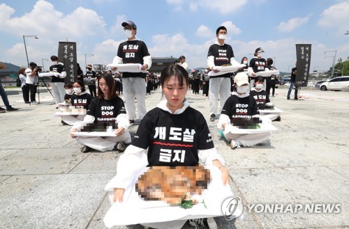 극한폭염 속 초복 풍경…개고기 반대 행진·삼계탕집 장사진