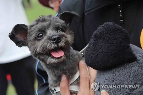 극한폭염 속 초복 풍경…개고기 반대 행진·삼계탕집 장사진