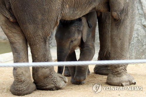 '종다리' 폭염 꺾는 효자 태풍 될까… 기상청 "가능성 작아"