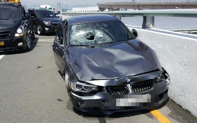 경찰 "김해공항 BMW 질주사고 동승자 2명 현장 안 떠났다"