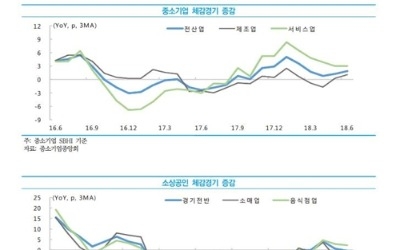 "中企 체감경기 둔화… 자영업자는 지난해 동월대비 감소"