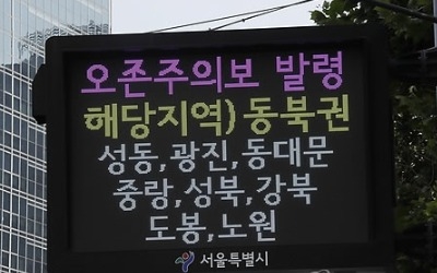 폭염 때 오존 증가… 수도권과 부산·울산·경남 특히 심해