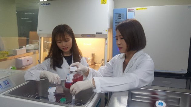 SCM생명과학 연구원들이 인천 신흥동 본사 연구실에서 줄기세포주 연구를 하고 있다.