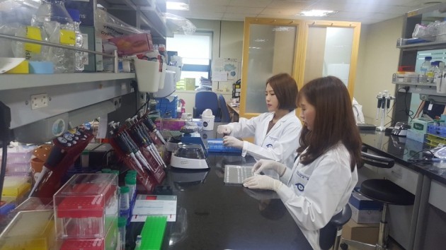 SCM생명과학 연구원들이 본사 연구실에서 세포주 연구를 하고 있다.