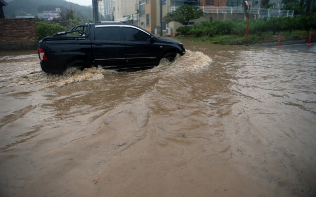 기록적인 폭우가 쏟아진 6일 아침 강원 강릉 시내에서 운전자가 골목길의 물웅덩이를 뚫고 출근하고 있다. [사진=연합뉴스]