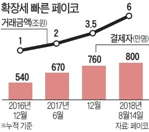 카카오·네이버·제로페이·페이코… 20여종 '페이전국시대'