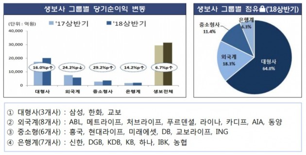 자료=금융감독원