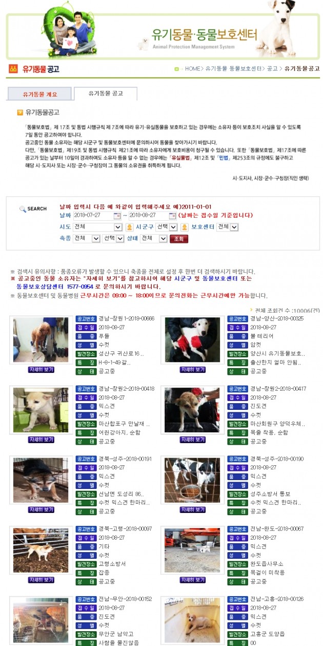 [데이터랩] 117만 vs 32…'펫 천국' 서울, 동물 장묘시설은 없다
