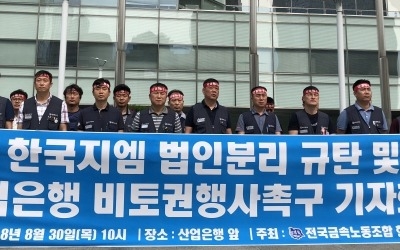 한국GM 노조 "산은, GM 법인분리 강행시 비토권 행사해야"