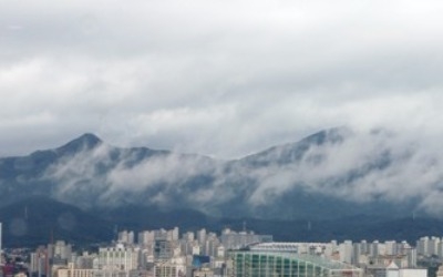 충남 빗줄기 소강… 낙뢰로 병아리 6천마리 타 죽어