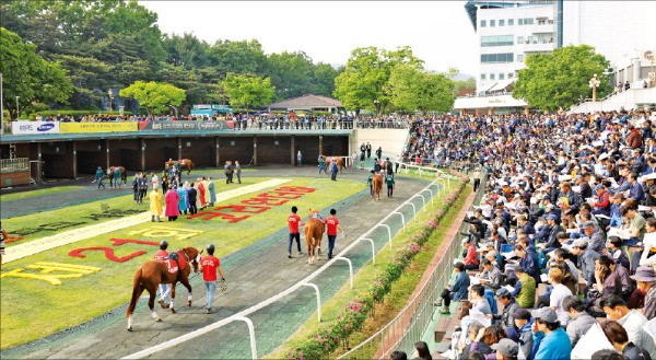 종주국 영국에 경마 콘텐츠 '역수출'… "한국, 경마 선진국 반열 머지않았다"