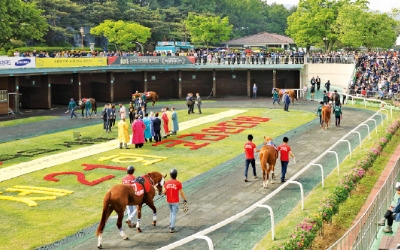 종주국 영국에 경마 콘텐츠 '역수출'… "한국, 경마 선진국 반열 머지않았다"