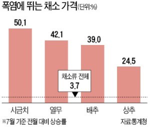 폭염에 폭등하는 식탁물가… 1주일새 깻잎 141%·쪽파 121% ↑